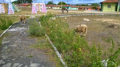 wp_20150511_024-1593059