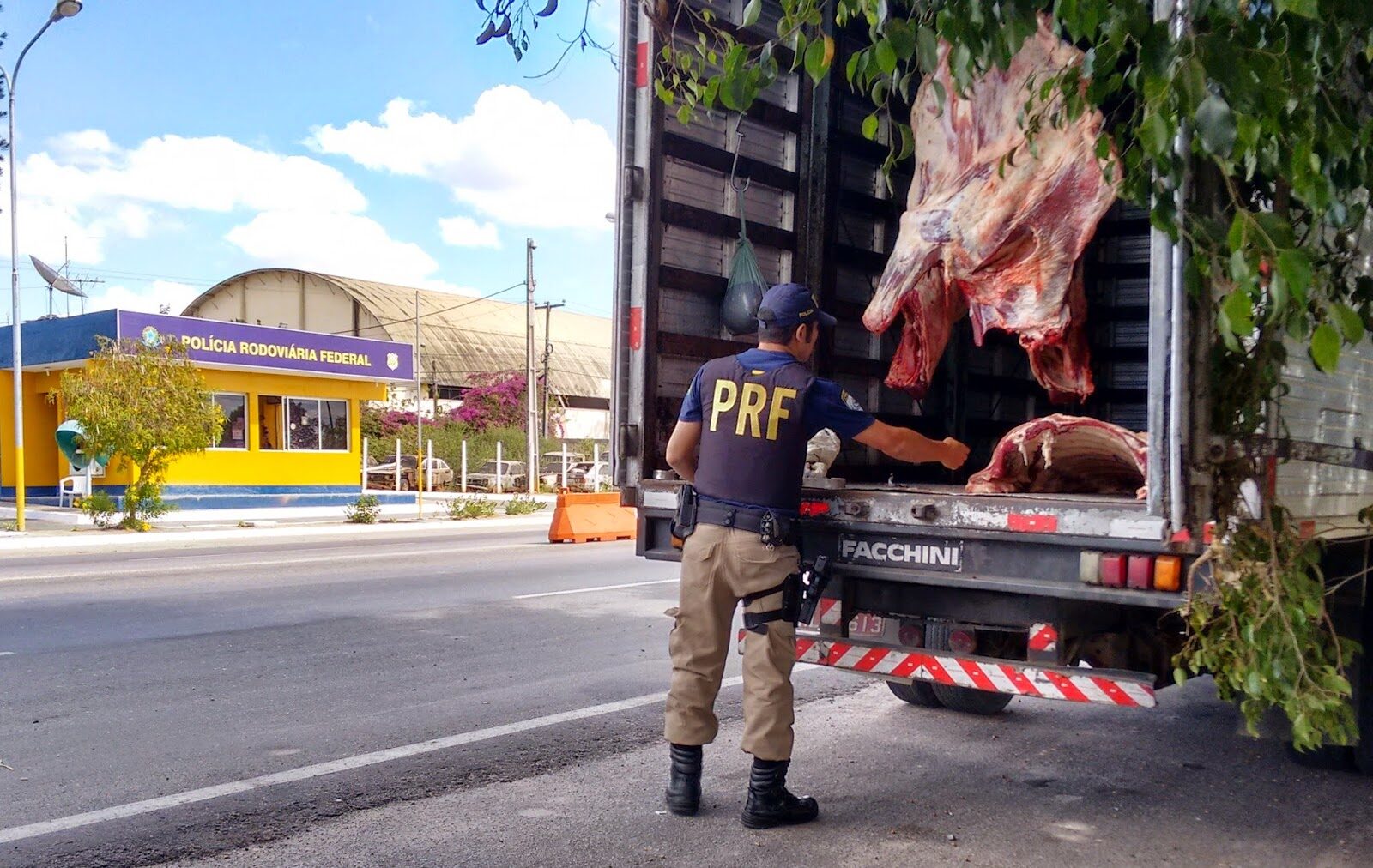 carne2bbovina2bapreendida-9542508