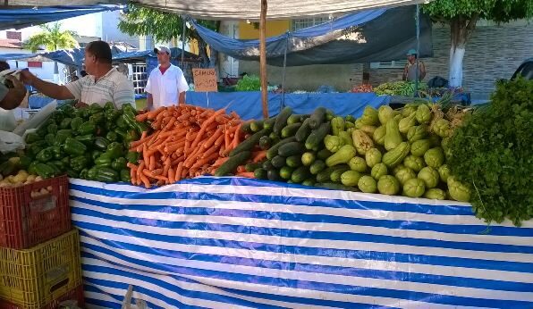feira2b1-4361199