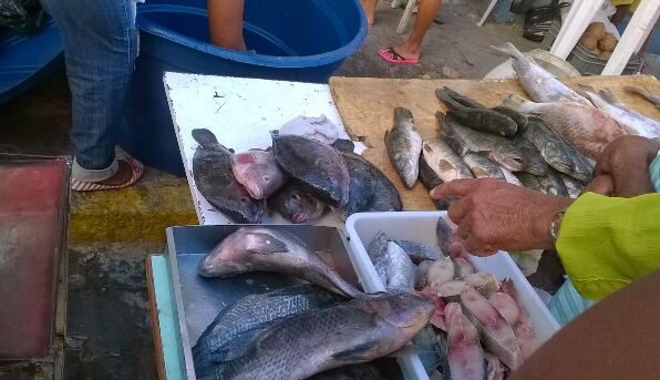 feira2b5-7801643