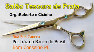 sal25c325a3o2btesoura2bde2bprata2b2-2317673