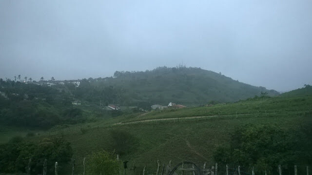 wp_20150703_006-4348983