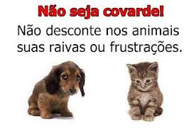n25c325a3o2bseja2bcovarde-1176895