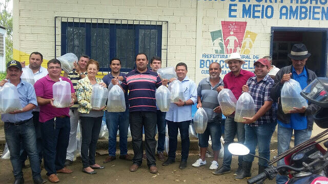 foto12b2528332529-6605902