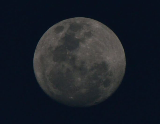 capturar-5161839