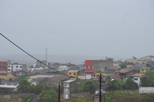 dsc_1224-6243562