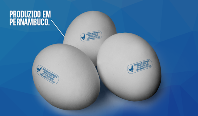 c25c325b3digo2bna2bcasca-3192031