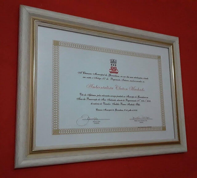 certificado2b2-7297192
